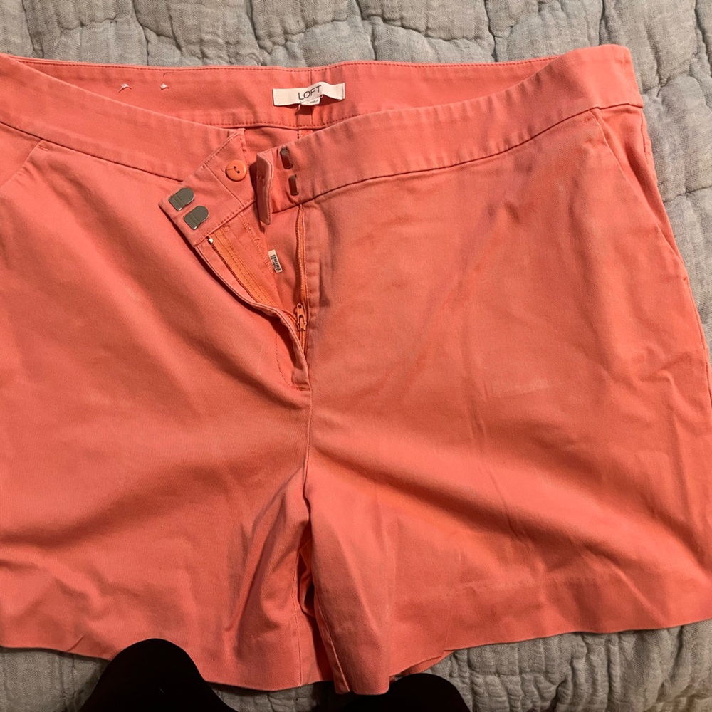 Loft Plus Shorts, Size 18 plus